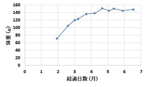 体重推移4