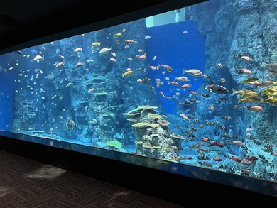 C6D13393-8189-4905-8AD9-0A0266CE6038