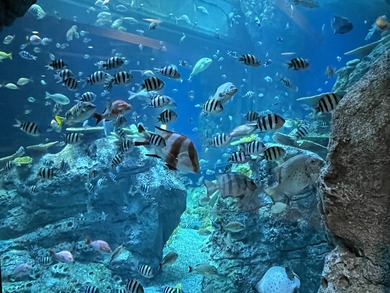 3449E5D7-F510-4B09-8F9A-CC240821F570