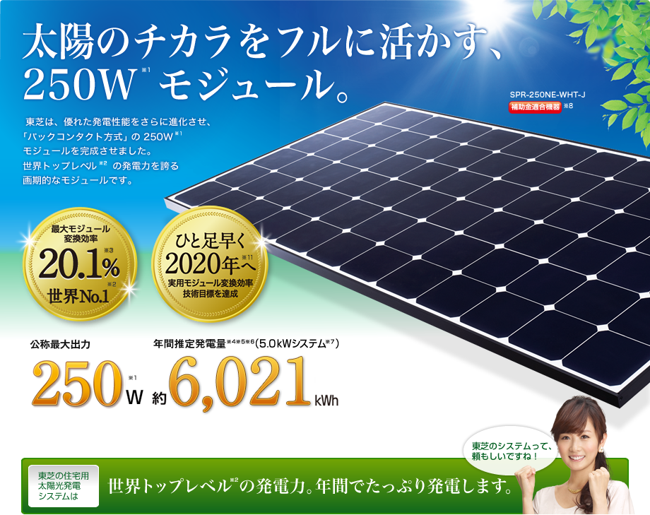main_250w_img