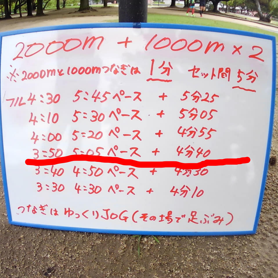 66730672_1303333426508758_6000946246049595392_n