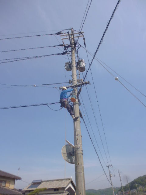 P1030971