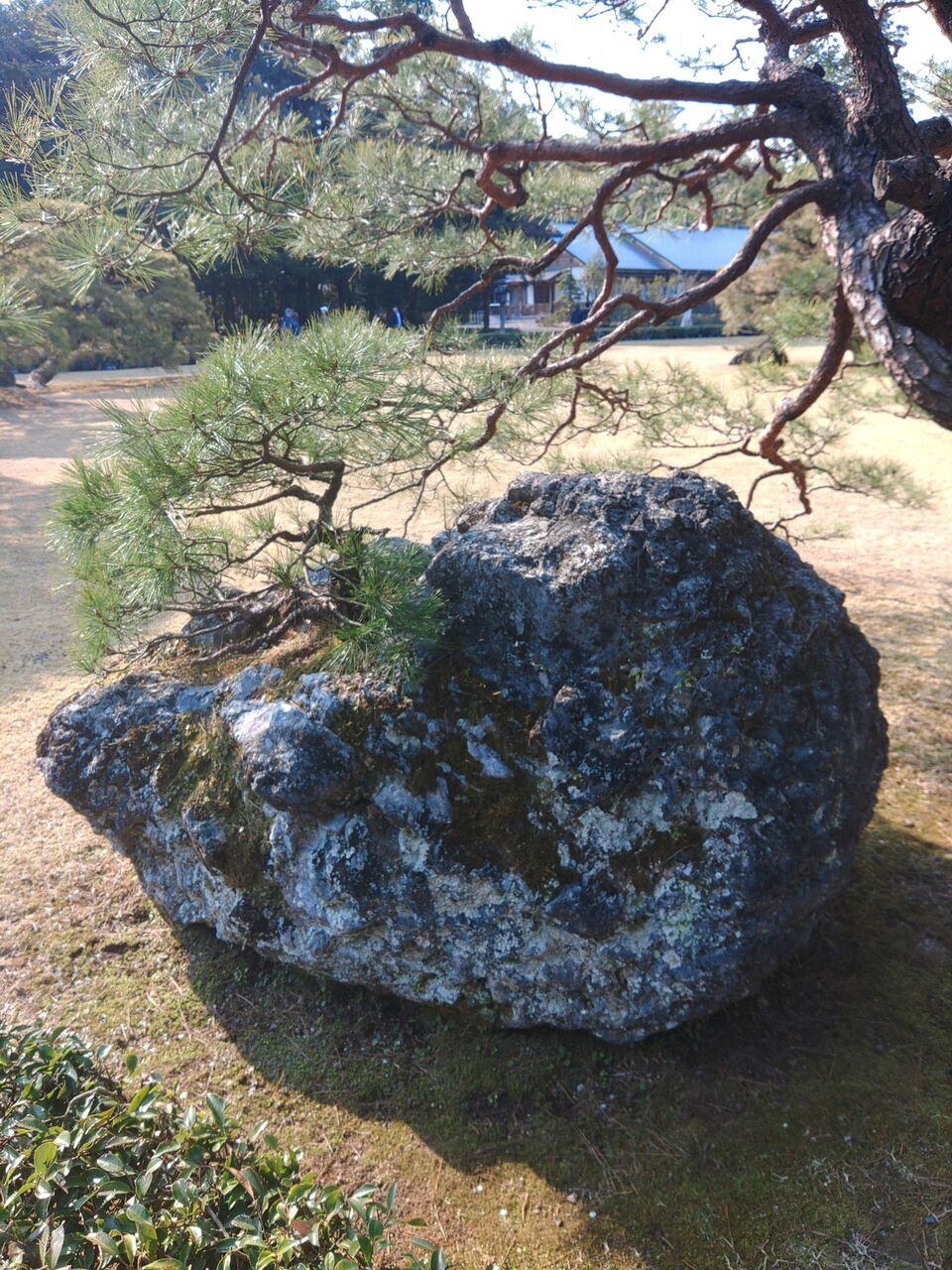 509430573_3119123571596392_5720576406693134621_n