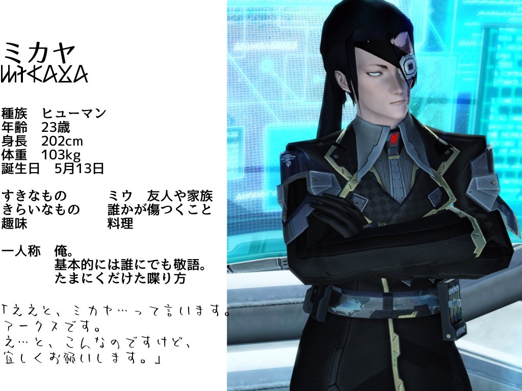 自キャラ設定 キミの金でネトゲ 自キャラ設定 キミの金でネトゲ