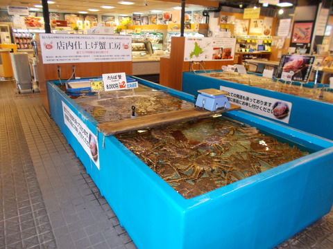 DSCN1388