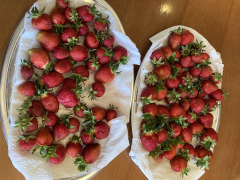 177190FD-4725-45FA-AD9A-A9EA7133FAF1_0