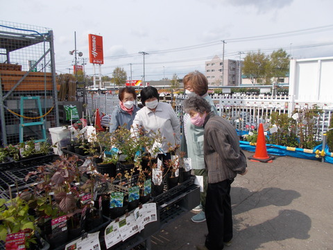 DSCN5271