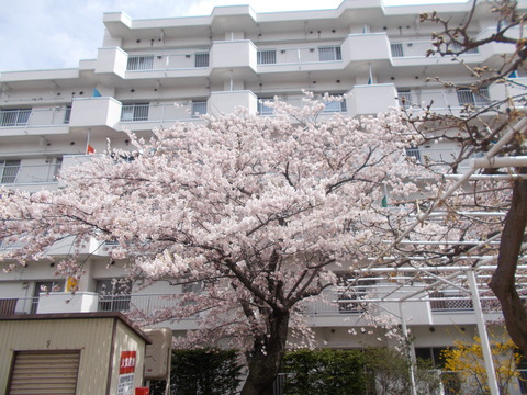 DSCN0002