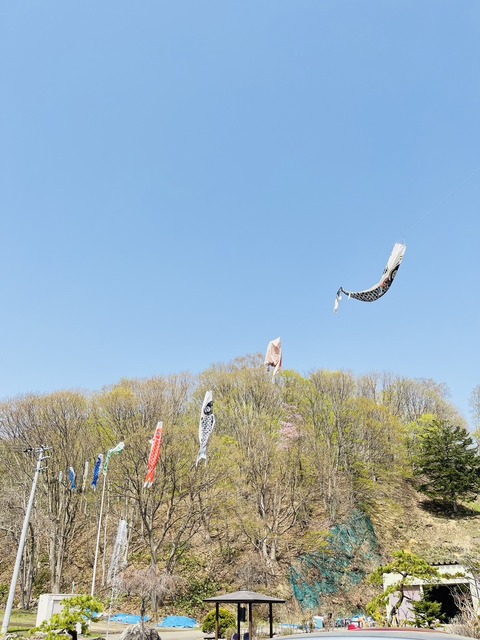 S__34439181