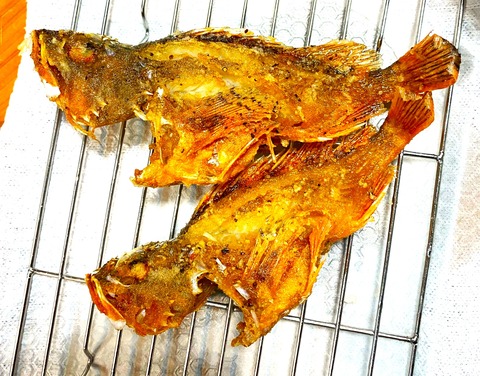 line_oa_chat_241218_085905