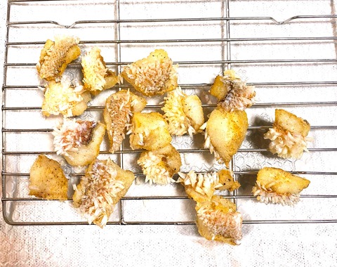 line_oa_chat_241217_095116