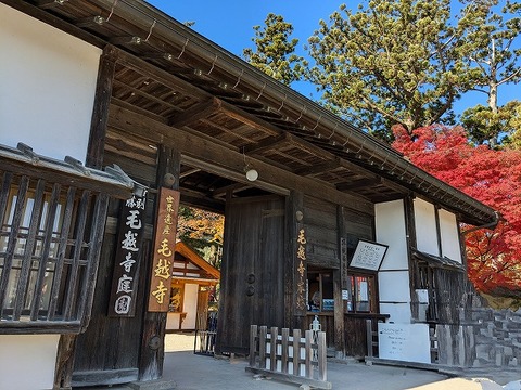 PXL_20241116_021658167.MP~2