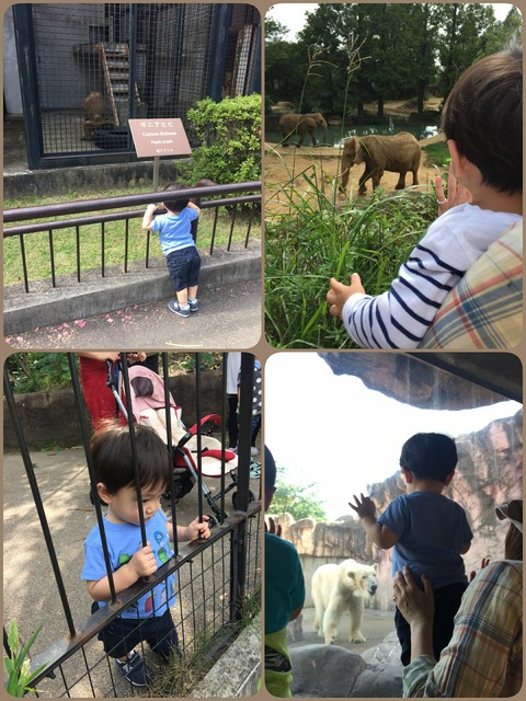 LINEcamera_share_2015-09-25-14-00-03