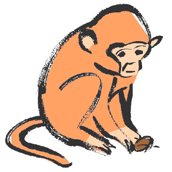 saru