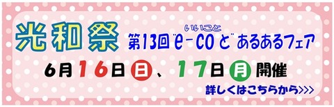 e-coto13banner
