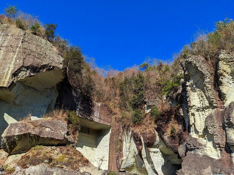 PXL_20231210_024524291.MP