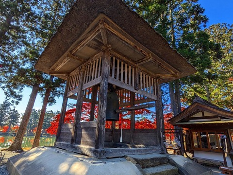 PXL_20241116_015321624.MP