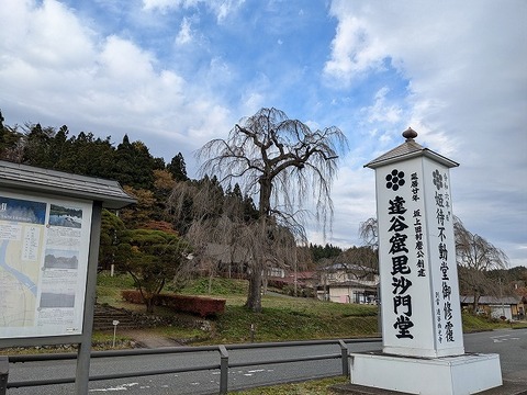 PXL_20241115_044501090.MP