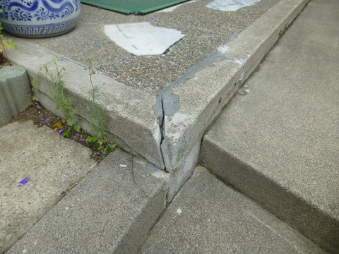 P1050779