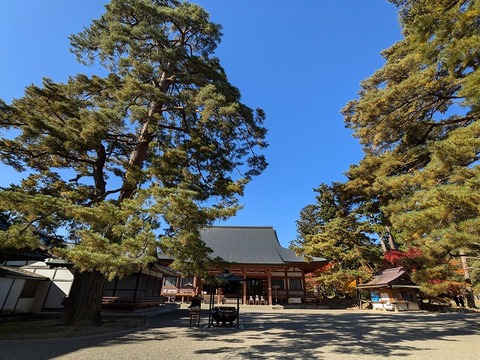 PXL_20241116_012308880.MP~2