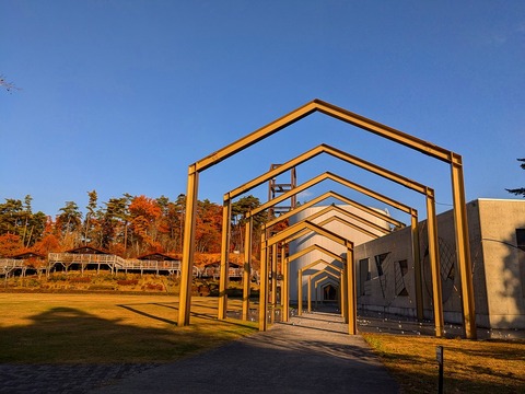 PXL_20241116_051101415.MP