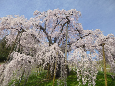 P1080061