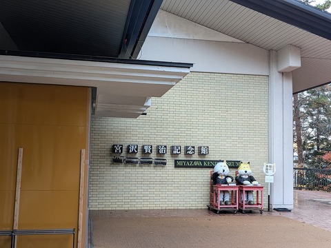 PXL_20241116_063453302.PORTRAIT.ORIGINAL