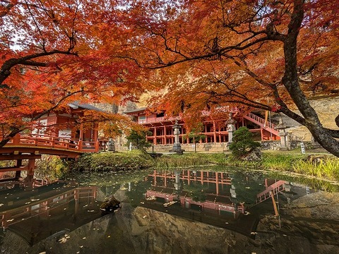 PXL_20241115_045036490.MP