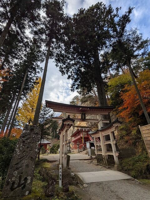 PXL_20241115_044736153.MP