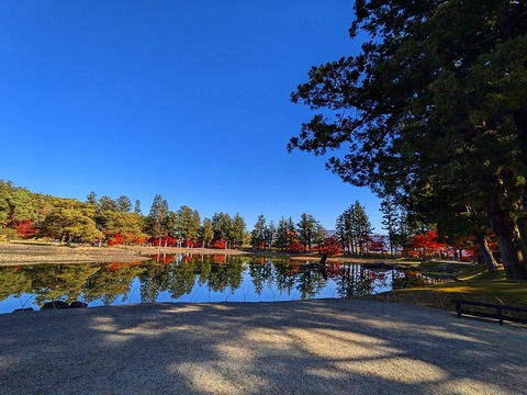 PXL_20241116_012702986.MP