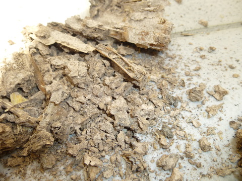 P1050630