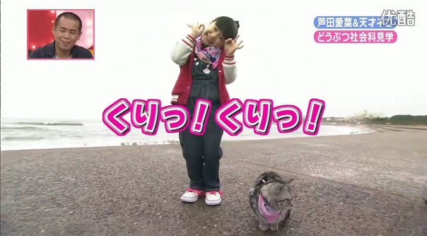 芦田愛菜あしだまなちゃん 動画 天才 志村どうぶつ園 4月14日 土 地球イチバンsp 動画 子役タレント応援ブログ