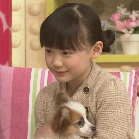 芦田愛菜 あしだまな 子役タレント応援ブログ