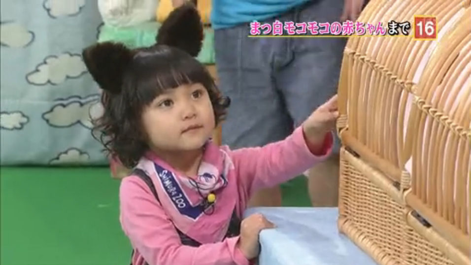 しずくちゃん 天才 志村どうぶつ園 ３月２３日 可愛すぎ 動画 子役タレント応援ブログ