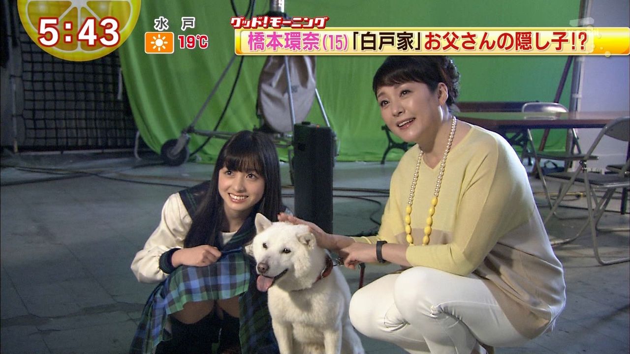 動画 17本 橋本環奈 はしもとかんなちゃん Cm アメーバ ガールフレンド 世界卓球14 住宅情報館 ソフトバンク 鑑定結果篇 他 子役タレント応援ブログ