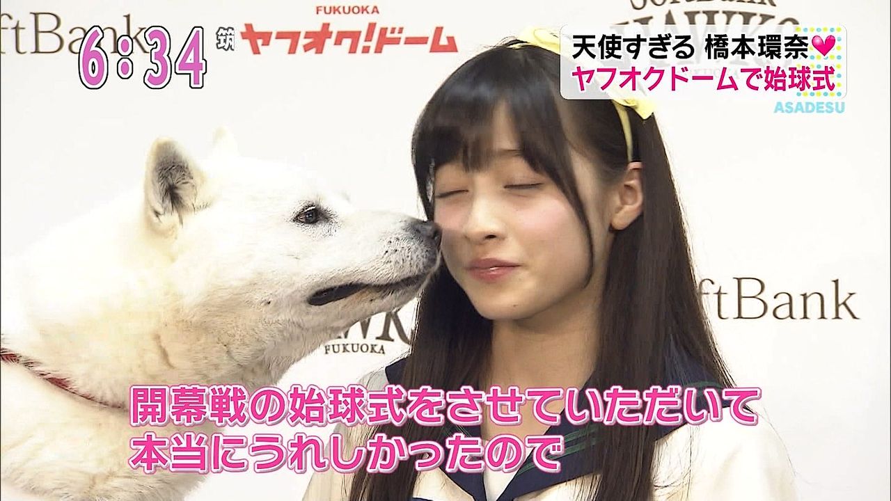 動画 17本 橋本環奈 はしもとかんなちゃん Cm アメーバ ガールフレンド 世界卓球14 住宅情報館 ソフトバンク 鑑定結果篇 他 子役タレント応援ブログ