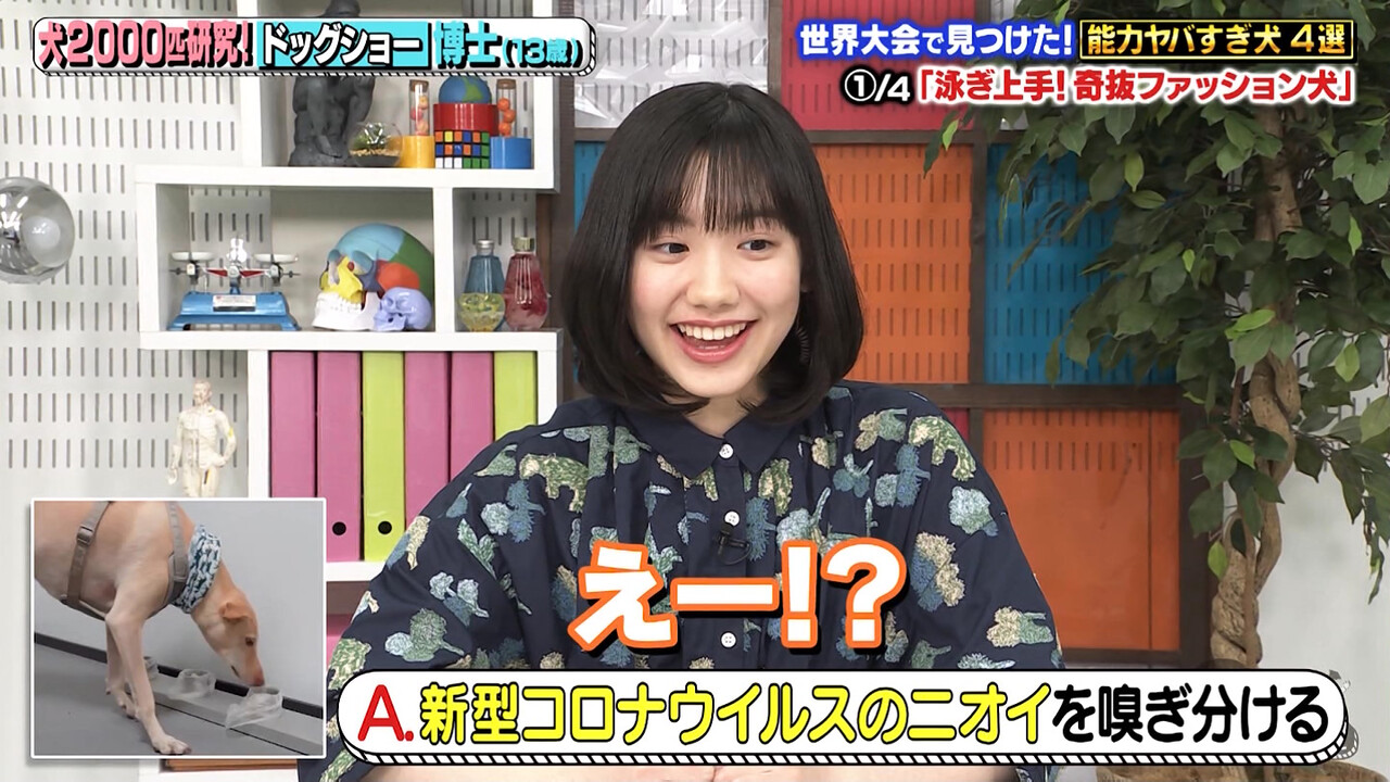 5月3日 月 5月5日 水 子役 テレビ イベント 出演情報 稲垣来泉 小畑乃々 筧礼 毎田暖乃 白鳥玉季 村山輝星 石田星空 横山歩 蒔田彩珠 他 子役タレント応援ブログ 5月3日 月 5月5日 水 子役 テレビ イベント 出演情報 稲垣来泉 小畑乃々 筧礼 毎田暖乃 白鳥玉季 村山輝星 石田星空 横山歩 蒔田彩珠 他 子役タレント応援ブログ