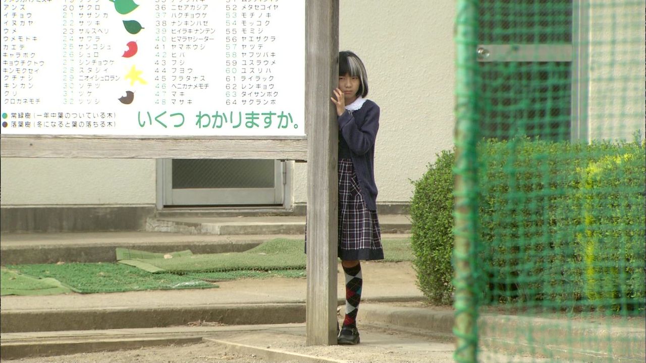 ドラマ 悪夢ちゃん 第2話 チー夢 動画 画像32枚 日向ななみちゃん 原田一輝くん 他 子役タレント応援ブログ ドラマ 悪夢ちゃん 第2話 チー夢 動画 画像32枚 日向ななみちゃん 原田一輝くん 他 子役タレント応援ブログ