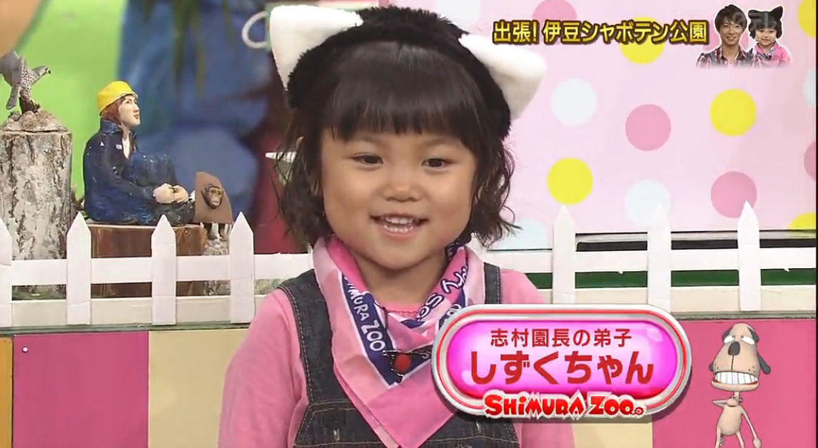 動画 しずくちゃん 5才 天才 志村どうぶつ園 ９月７日 土 グリーンダカラ Cm 動画 子役タレント応援ブログ
