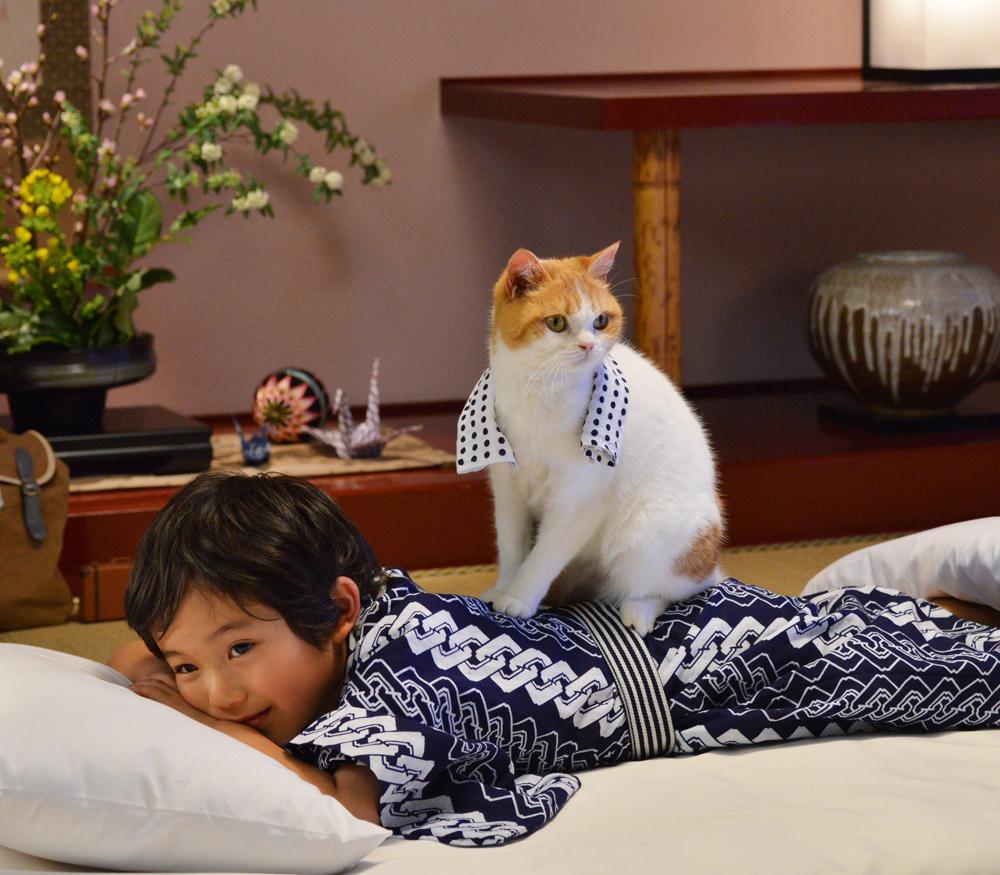 にゃらん 弟子名前 – じゃらん プロフィール , 二代目「にゃらん」誕生の瞬間を見逃すな! – NQLVZG