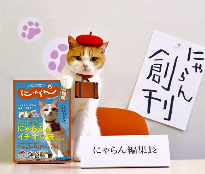 Cm にゃらん 小さな友達 篇 吉澤梨里花 よしざわりりか ちゃん 小さな弟子 篇 黒木蘭 くろきらん くん 動画あり じゃらん にゃらん 子役タレント応援ブログ