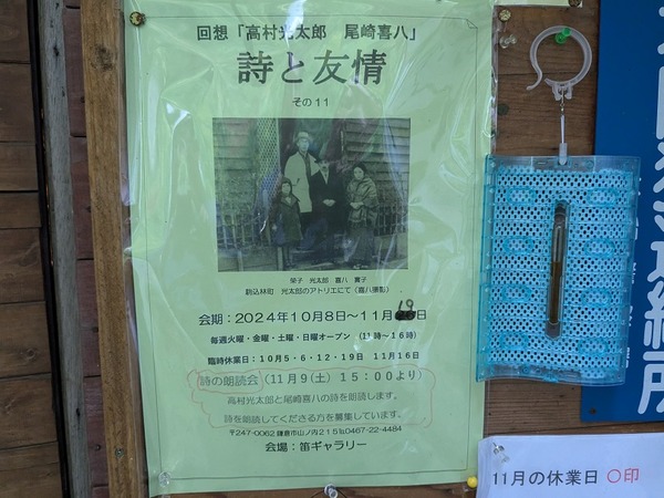 PXL_20241117_063529425