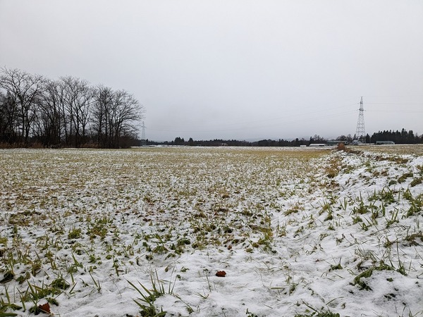 PXL_20221203_231113746