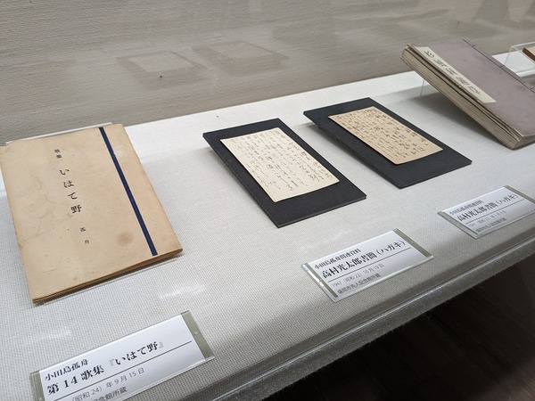 PXL_20230215_020307181