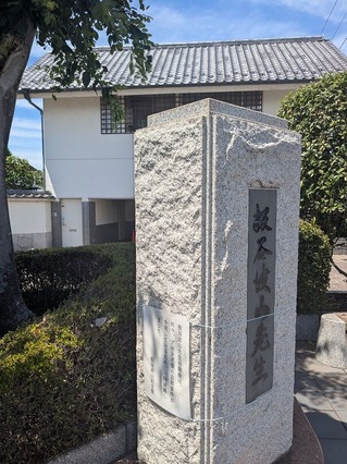 PXL_20260617_040722132