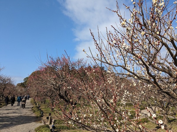 PXL_20230212_013431185