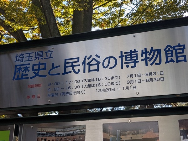 PXL_20251102_235907885