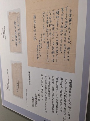 PXL_20230215_000303756