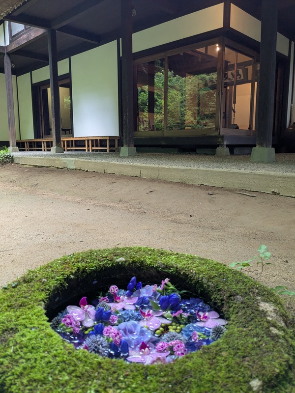 PXL_20250712_050740367