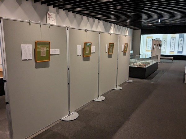 PXL_20250620_070431062